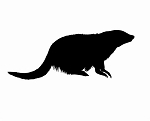 Mongoose Silhouette Decal Sticker